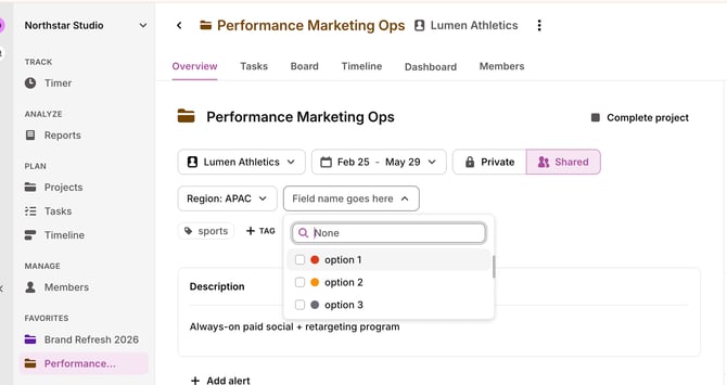 adding value for a custom field in a project
